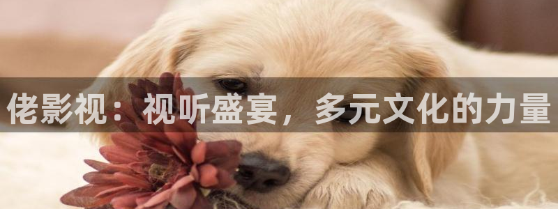 桔子圖片：佬影視：視聽盛宴，多元文化的力量